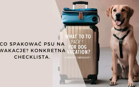 Uśmiechnięty pies obok walizki i torby podróżnej. Tekst: "Co spakować psu na wakacje? Konkretna checklist." Idealny przewodnik na wakacje z psem.