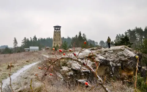 Wieża widokowa i samotny turysta na tle zimowego krajobrazu. Jósefów Roztocze atrakcje zimową porą.