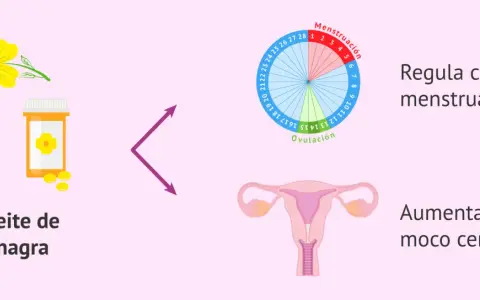 Aceite de onagra, que ayuda a regular el ciclo menstrual y aumenta el moco cervical.