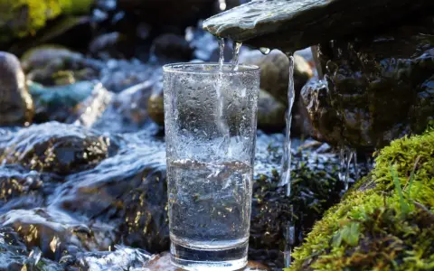 Ein Glas wird unter einem kleinen Wasserfall gefüllt. Die Frage, ob man quellwasser trinken kann, wird hier visuell beantwortet.