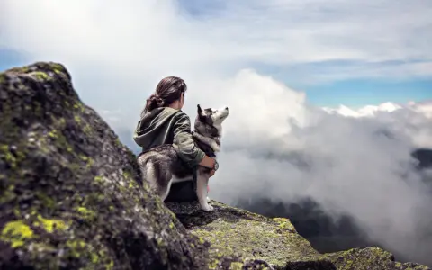 Une femme et son husky profitent d'une vue imprenable sur les nuages lors d'une randonnée.