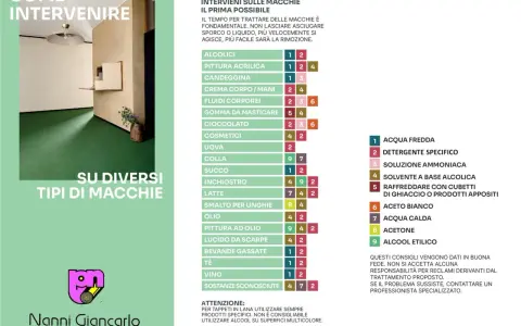 Guida su come pulire la moquette da vari tipi di macchie, con consigli pratici e soluzioni.