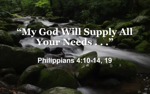 A serene forest stream flows over mossy rocks, with the comforting words "My God Will Supply All Your Needs" overlayed, reminding us of His provision.