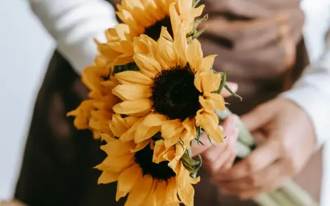 Manos sostienen un ramo de girasoles, flores que simbolizan la felicidad y la vitalidad.