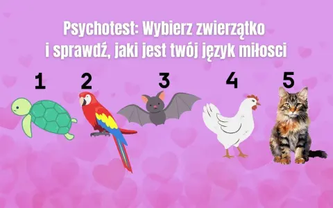 Psychotest: wybierz zwierzątko i sprawdź, jaki jest twój język miłości. Żółw, papuga, nietoperz, kura i kot czekają na Ciebie!