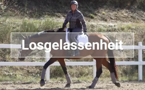 Reiterin mit linker Hand am Zügel eines braunen Pferdes, das entspannt trabt.