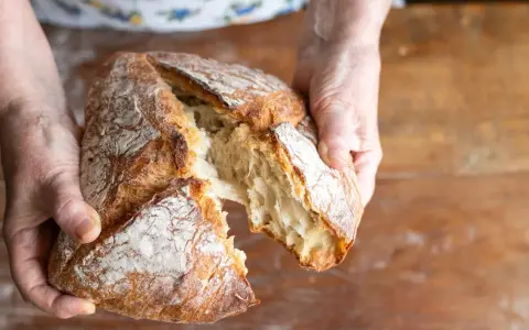 Dłonie rozrywają świeży, chrupiący chleb rustykalny. Czy jest zdrowy? Tak, jeśli pieczony z mąki pełnoziarnistej!