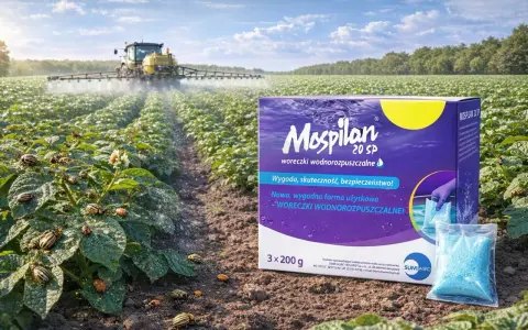 Pole ziemniaków opanowane przez stonkę. Traktor opryskuje plantację, a obok pudełko Mospilan 20 SP, który chroni przed szkodnikami.