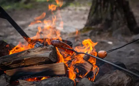 En korv grillas över en sprakande eld. En härlig eld brasa som värmer och ger mat.