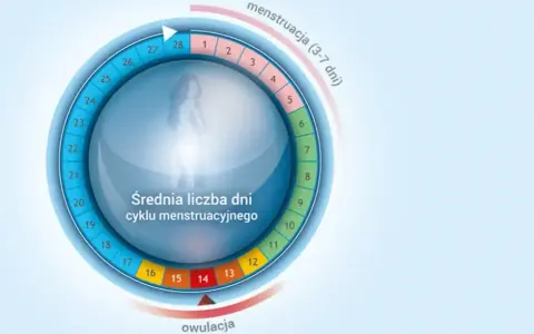 Kiedy kobiety mają dni płodne? Poznaj metody na ich określenie