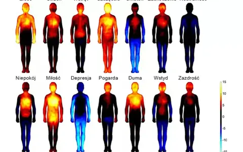 Termiczne mapy ludzkiego ciała pokazujące rozkład ciepła przy różnych emocjach. Stres objawia się gorącem w klatce piersiowej i głowie.