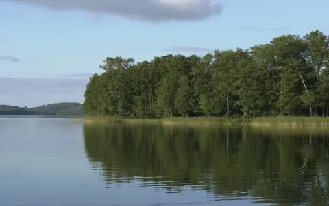 Spokojne jezioro z odbijającym się lasem w tle. Czy to właśnie tu znajduje się najgłębsze jezioro w Polsce?