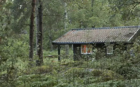 En mysig stuga i en grinda stugby, omgiven av frodig skog och ormbunkar. Ljuset från fönstret lyser varmt.