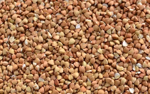 Nahaufnahme von Buchweizenkörnern, eine gesunde, glutenfreie Zutat für vielfältige Gerichte.