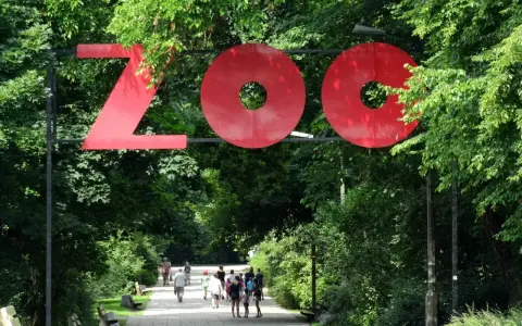 Wejście do największego zoo w Polsce. Ludzie spacerują alejką wśród zieleni.