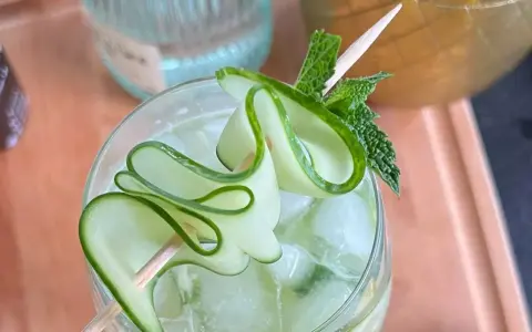 Un gin tonic concombre rafraîchissant, garni de fines lamelles de concombre en spirale et de feuilles de menthe fraîche.