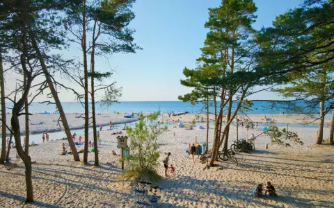 Słoneczna dębki plaża z piaszczystym brzegiem, drzewami sosnowymi i ludźmi odpoczywającymi nad morzem.