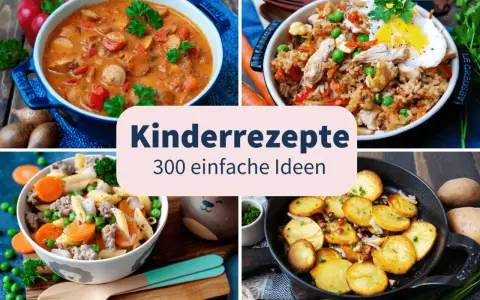 Vier leckere, gesunde Kindergerichte: Gulasch, gebratener Reis, Nudeln mit Hackfleisch und Bratkartoffeln.