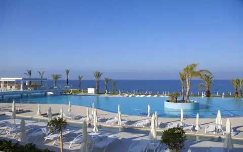 Luksusowy basen z palmami i widokiem na morze. Wiele opinii o King Evelthon Beach Hotel and Resort potwierdza jego piękno.