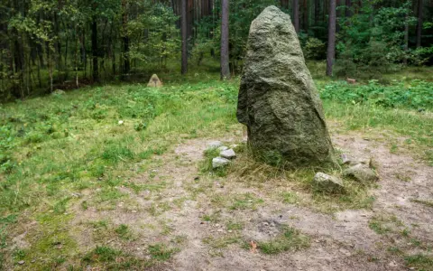 Kamienne kręgi na Kaszubach, tajemnicze głazy w lesie, świadkowie dawnych czasów.