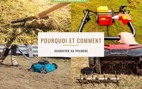 Le scarificateur, un outil essentiel pour savoir quand scarifier pelouse. Il aère le sol et retire la mousse pour une pelouse saine.