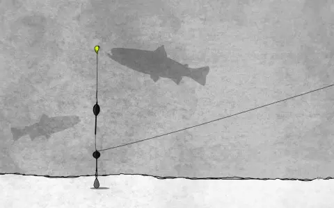 Angelmontagen Forelle: Ein Schatten einer Forelle schwimmt über dem Grund, während eine Angelmontage mit Schwimmer und Blei im Wasser hängt.