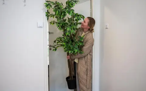Mujer con planta en maceta en el rellano del piso, lista para entrar.