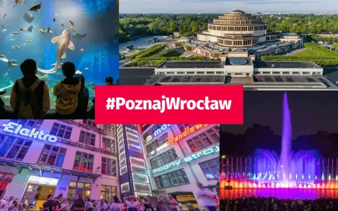 Wrocław atrakcje dla młodzieży: akwarium, Hala Stulecia, neonowe ulice i pokaz fontann.