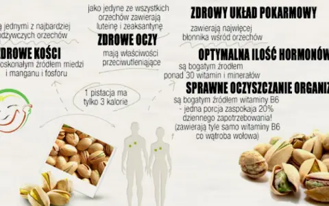 Ile kalorii mają pistacje? Zaskakujące fakty o ich wartości odżywczej