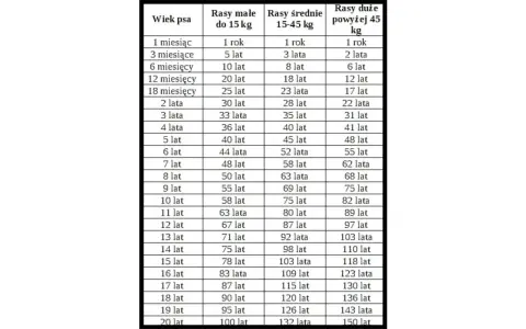 4 lata psa ile to ludzkich? Tabela pokazuje, że dla małych ras to 36 lat, średnich 40 lat, a dużych 41 lat.