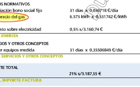 Detalle de factura: "pe precio del gas" y otros conceptos. ¿Es normal pagar 200 euros de luz?