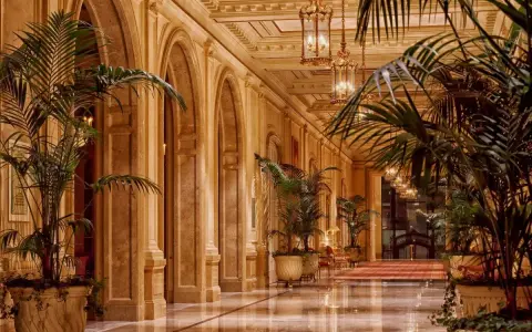 Elegancki korytarz z łukami i palmami, przypominający wnętrze najdroższego hotelu na świecie.
