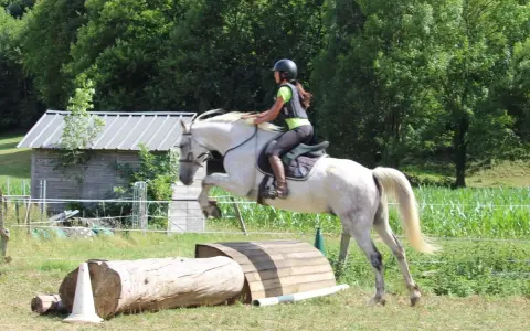 Une cavalière et son cheval blanc franchissent un obstacle en CSO équitation. Le cheval saute par-dessus un tronc d'arbre et une structure en bois.