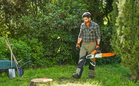 Hombre con motosierra se acerca a un tocon de arbol en un jardín. Herramientas y carretilla a la izquierda.