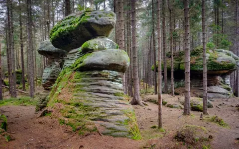 Skalne grzyby porośnięte mchem w lesie. Te naturalne formacje skalne przypominają gigantyczne grzyby, tworząc niezwykły krajobraz.