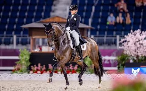 Une cavalière en tenue d'apparat, Sandro Hit, exécute une figure de dressage devant un public.