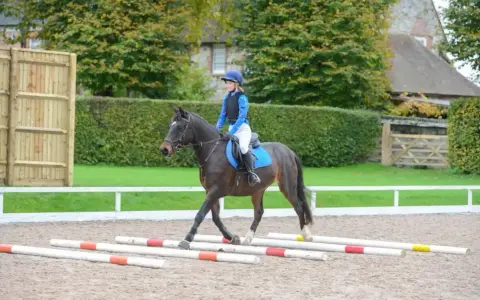 Cheval au trot passant sur des barres au sol. La cavalière ajuste sa posture pour la distance barre de réglage au trot.