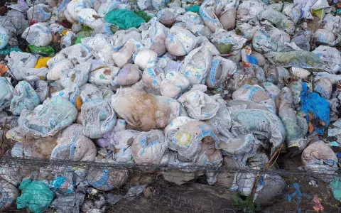 Góra zużytych pieluch i śmieci. Pytanie "gdzie wyrzucać pampersy" nabiera tu szczególnego znaczenia.