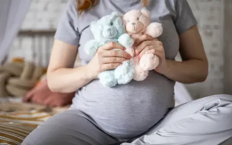 Brzuszek mamy z dwoma pluszowymi misiami, niebieskim i różowym, symbolizującymi macierzyński bliźniaki.
