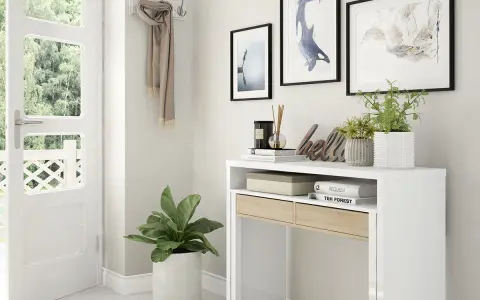 Une entrée accueillante avec un porte-manteau fait maison, des plantes et des tableaux.