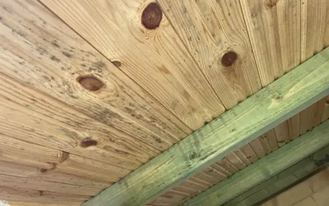 Mögel på träpanelen i en friggebod, troligen på grund av bristande ventilation.