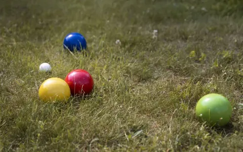 Boules colorées (jaune, rouge, bleu, vert) et une petite blanche sur l'herbe, prêtes pour un concours de pétanque.