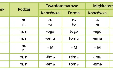 Tabela odmiany rzeczowników: przypadki, rodzaje, końcówki i formy dla twardo- i miękkotematowych. Jaki to rodzaj gramatyczny?