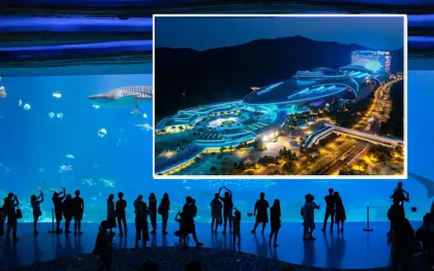 Największe oceanarium świata: Chimelong Ocean Kingdom czy warto?