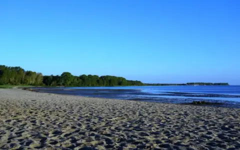 Sonniger Zierow Strand mit Sand, Bäumen und ruhigem Wasser unter blauem Himmel.