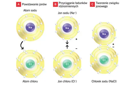 Tworzenie chlorku sodu (NaCl) z atomów sodu i chloru. Powstają jony Na+ i Cl-, które przyciągają się, tworząc związek.