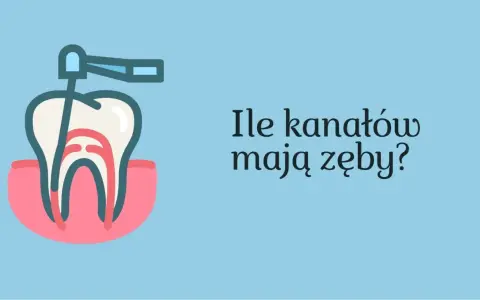 Ząb 5 ile ma kanałów? Odkryj zaskakujące różnice w budowie