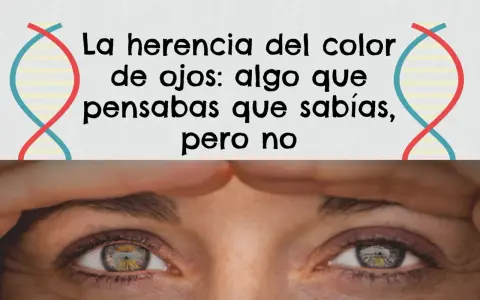 La herencia del color de ojos: la probabilidad de que tus ojos sean de un color u otro es más compleja de lo que crees.