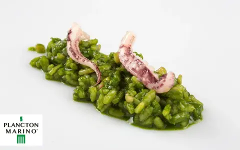 Arroz verde vibrante con tentáculos de calamar, inspirado en el plancton marino. Un plato que evoca la fuerza del león marino.