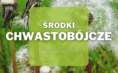 Środki chwastobójcze pomogą Ci pozbyć się niechcianych roślin z ogrodu. Dostępne na sklep.zielonyogrodek.pl.